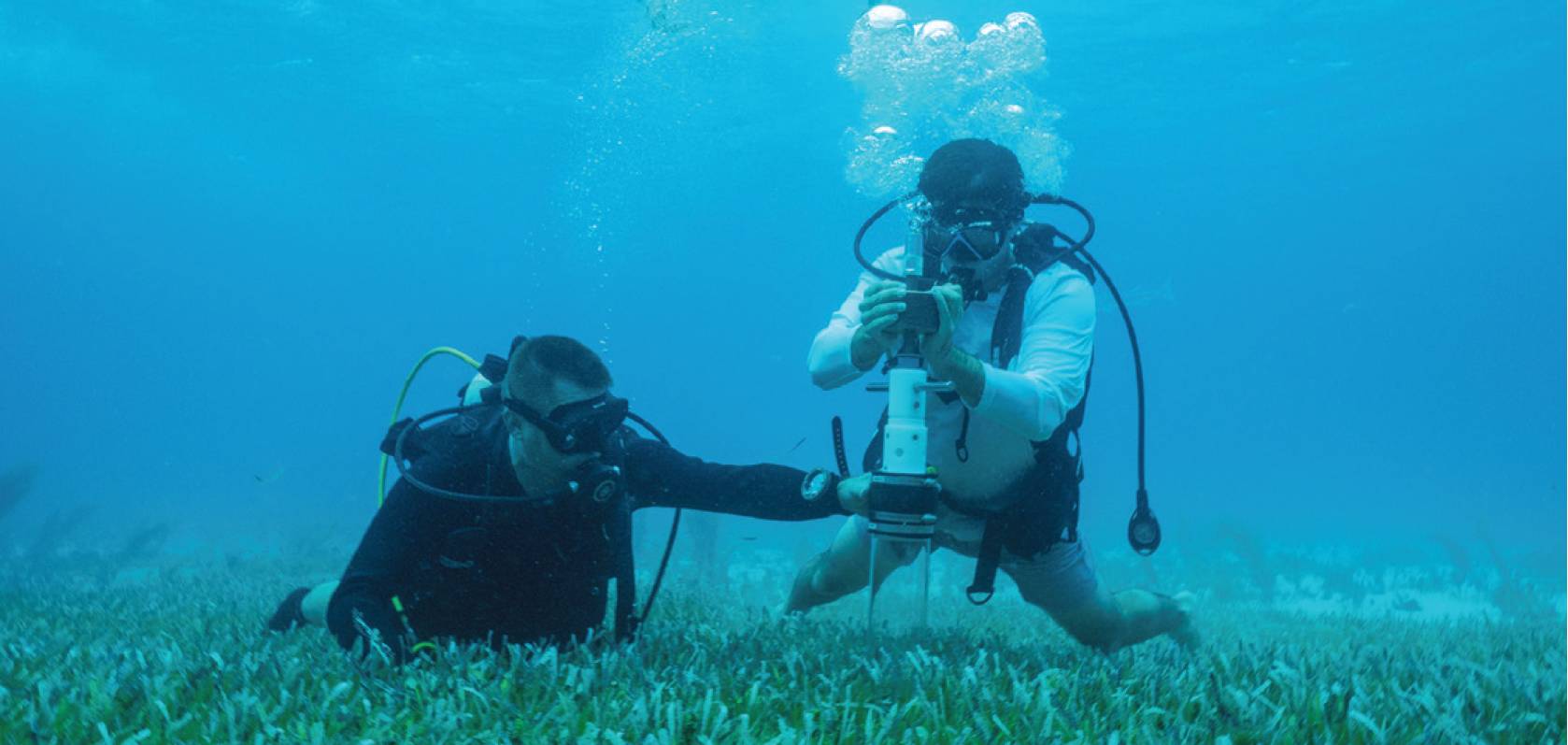 PROTECTING RESTORING BLUE CARBON ECOSYSTEMS visual data 7